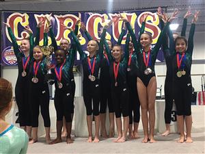 Gymnastics Team 